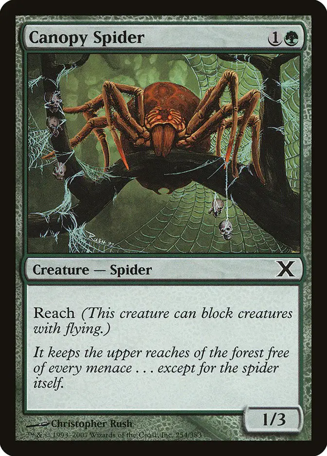 Canopy Spider (Tenth Edition)