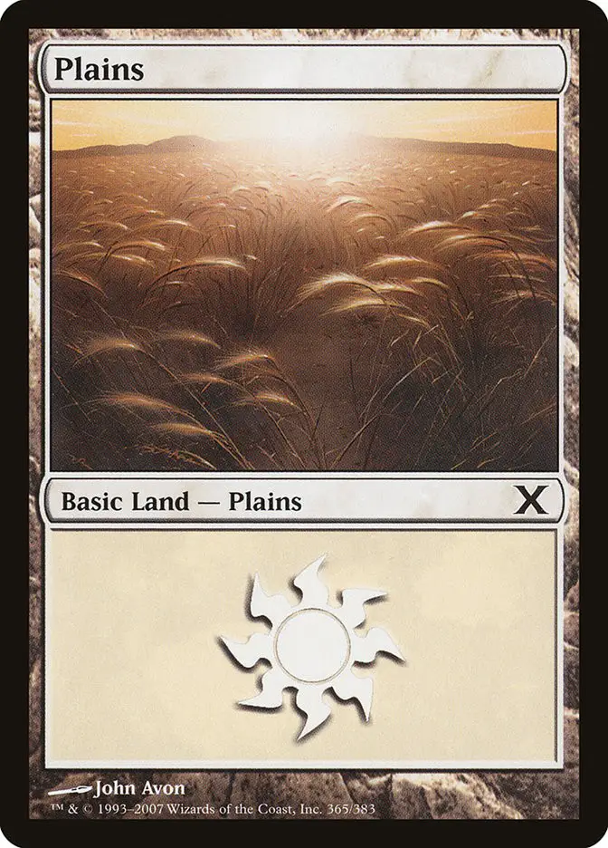 Plains (Tenth Edition)