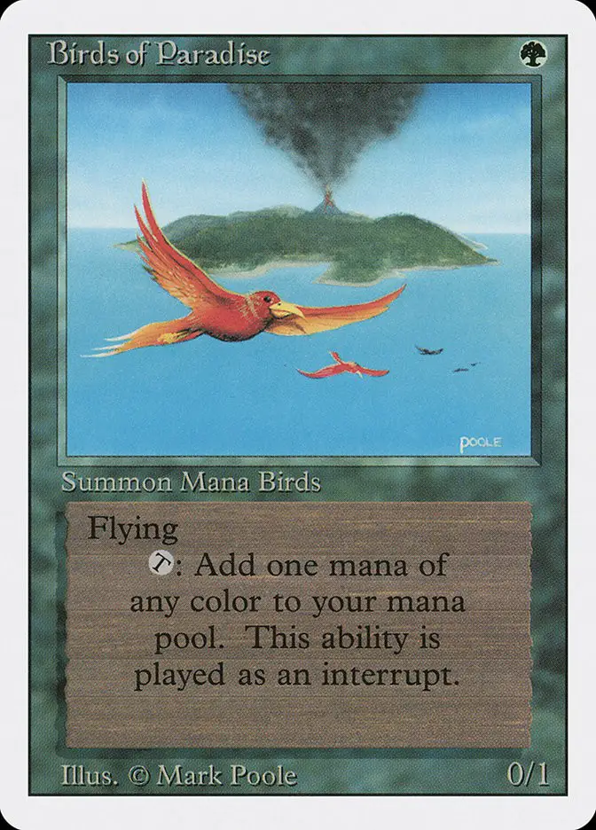 Birds of Paradise (Revised Edition)