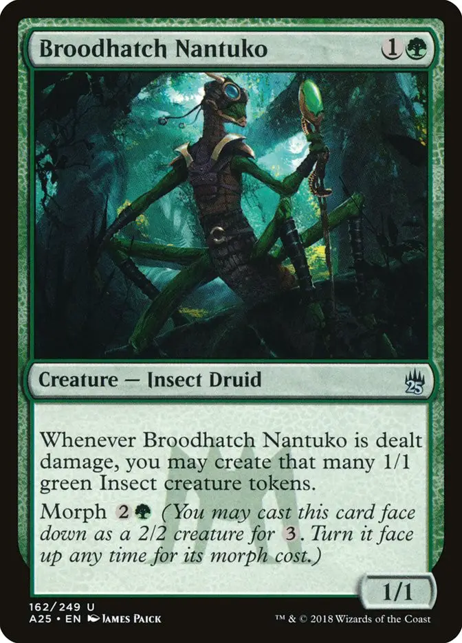 Broodhatch Nantuko (Masters 25)