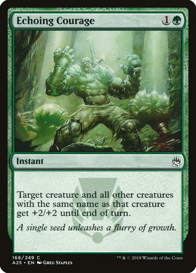 Echoing Courage (Masters 25)