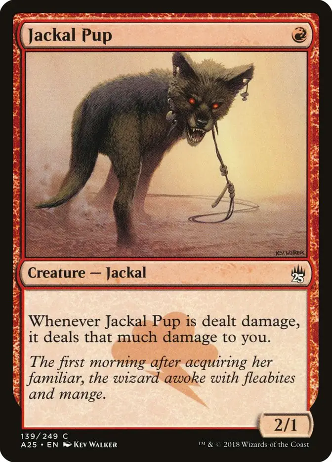Jackal Pup (Masters 25)