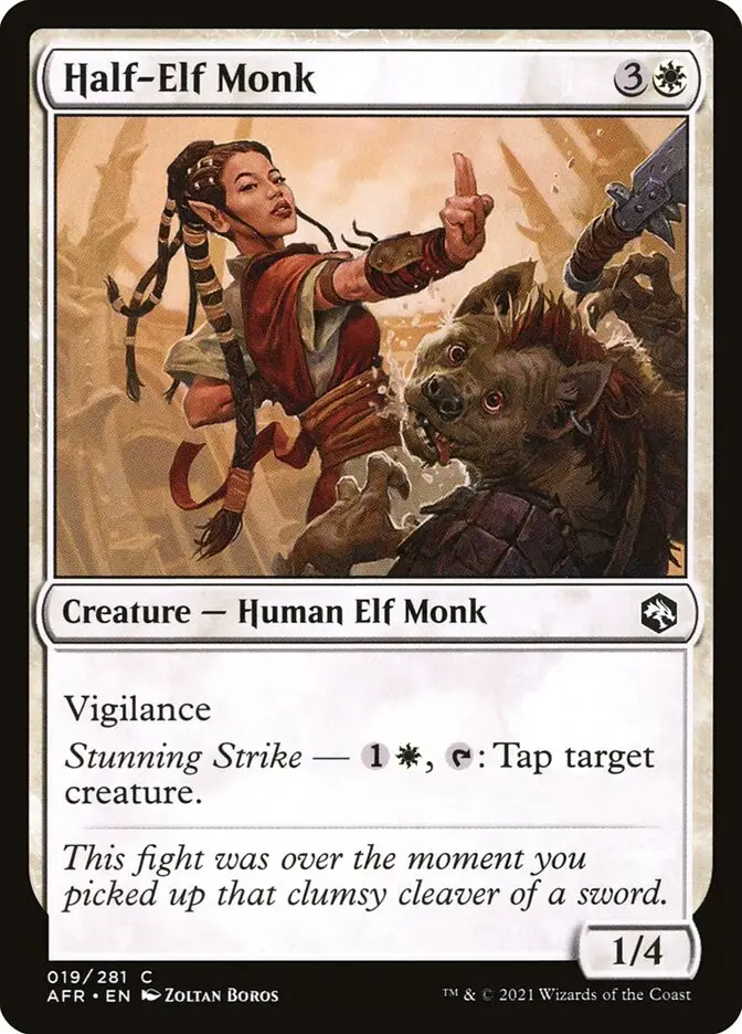 Half Elf Monk (Adventures in the Forgotten Realms)