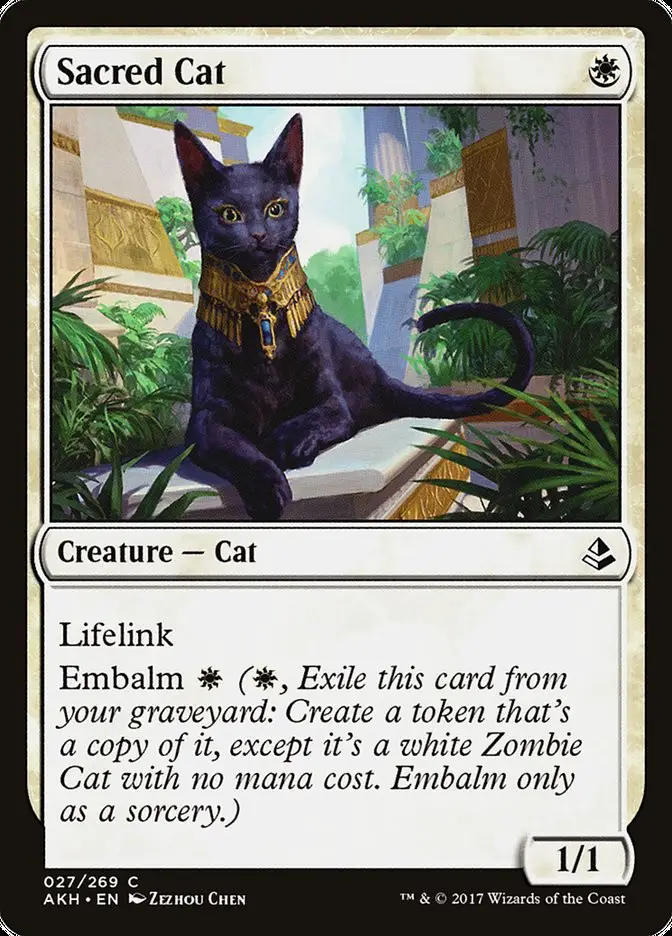 Sacred Cat (Amonkhet)