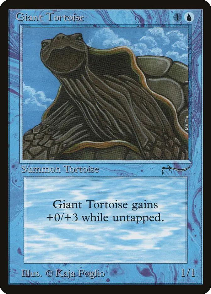 Giant Tortoise (Arabian Nights)
