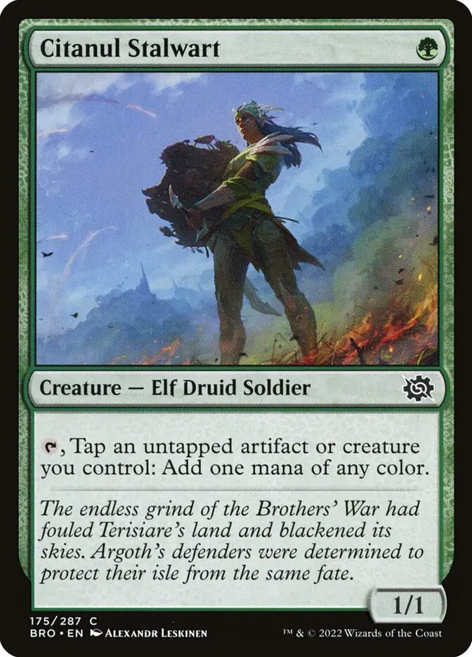 Citanul Stalwart (The Brothers