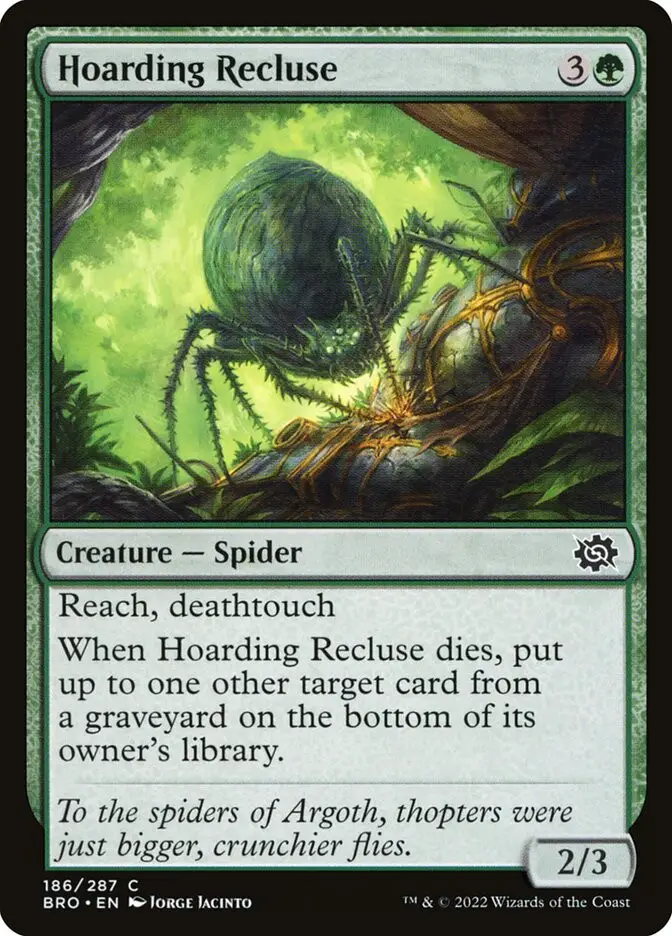 Hoarding Recluse (The Brothers