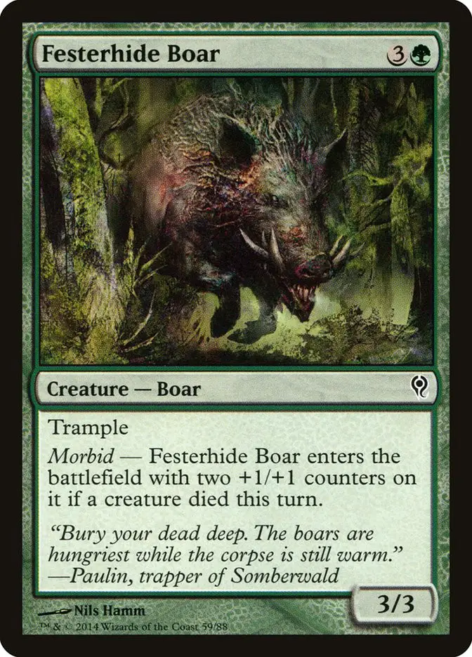 Festerhide Boar (Duel Decks: Jace vs. Vraska)