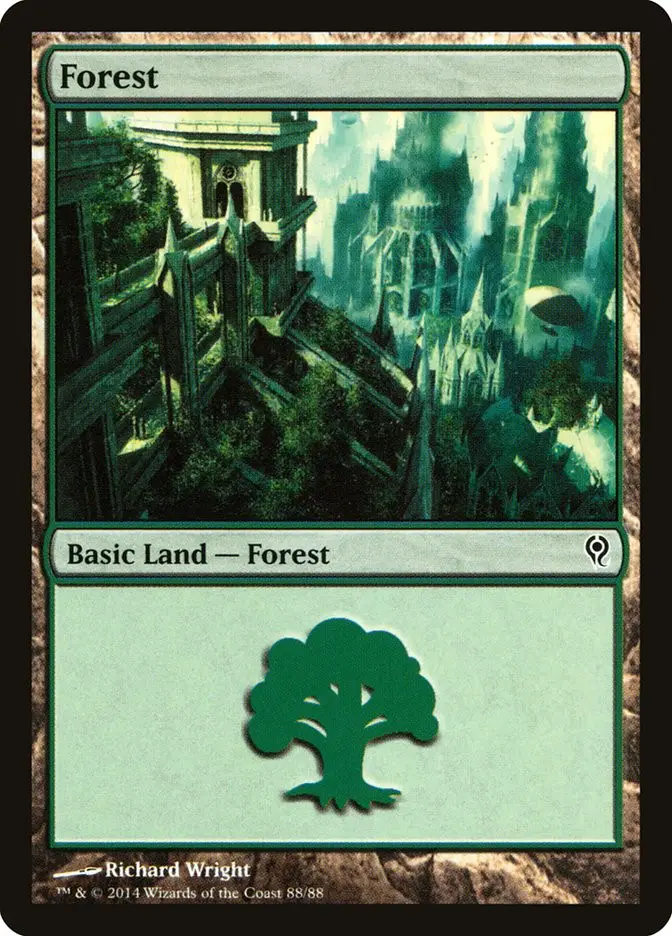 Forest (Duel Decks: Jace vs. Vraska)