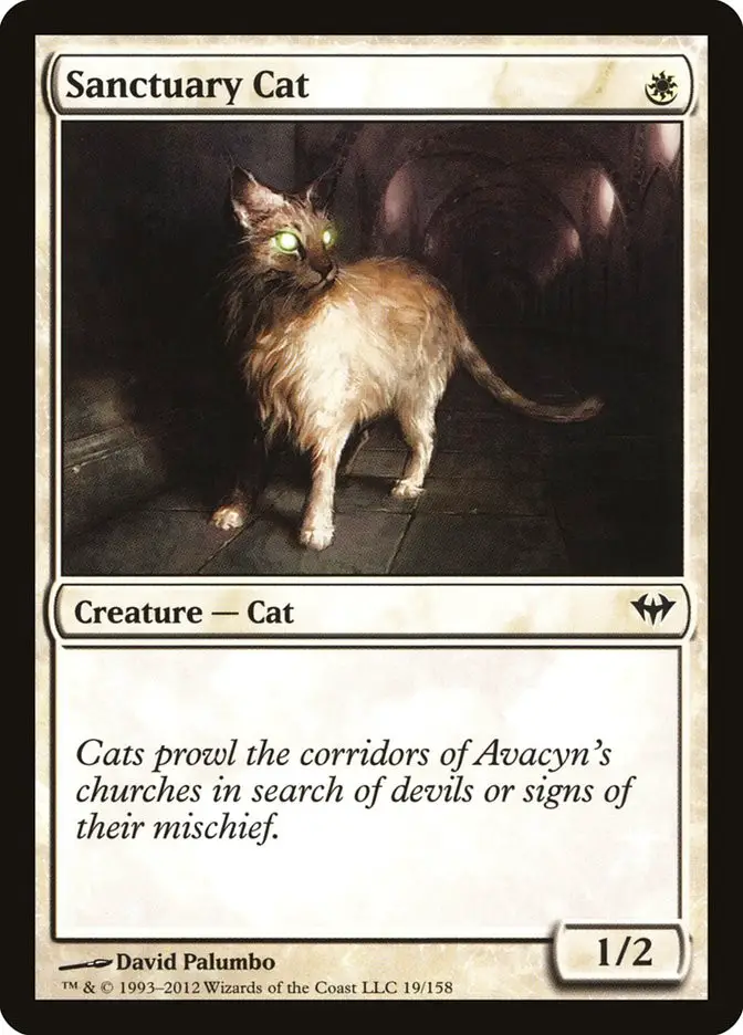 Sanctuary Cat (Dark Ascension)