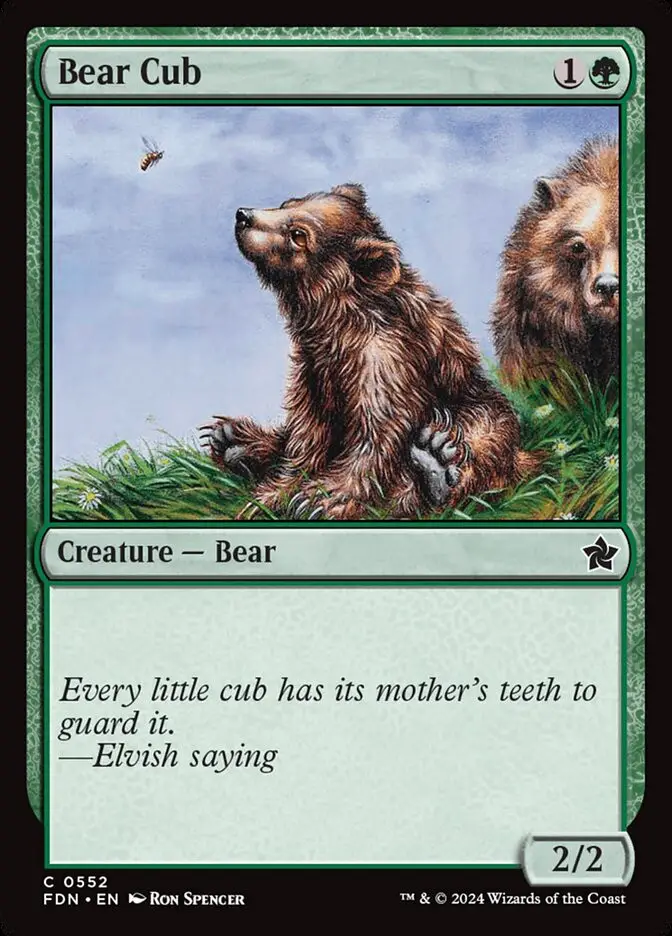 Bear Cub (Foundations)
