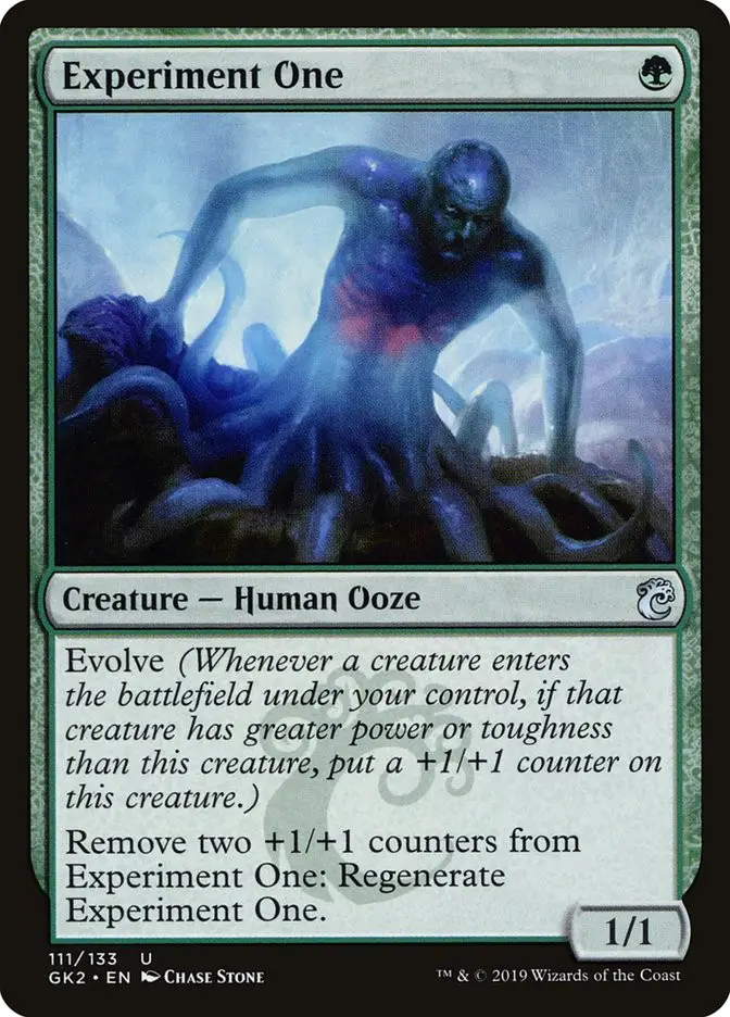 Experiment One (RNA Guild Kit)