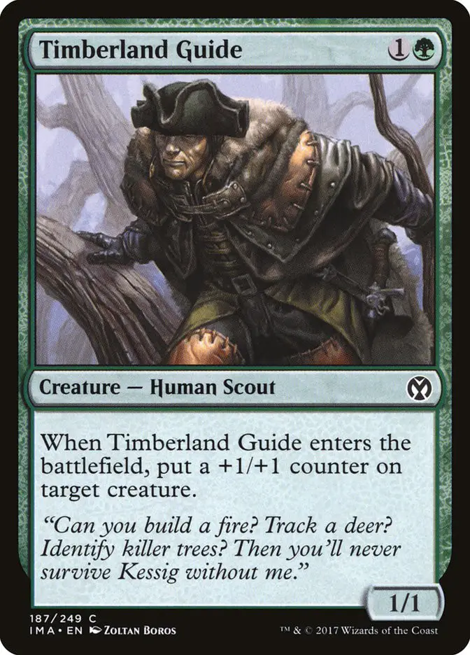 Timberland Guide (Iconic Masters)
