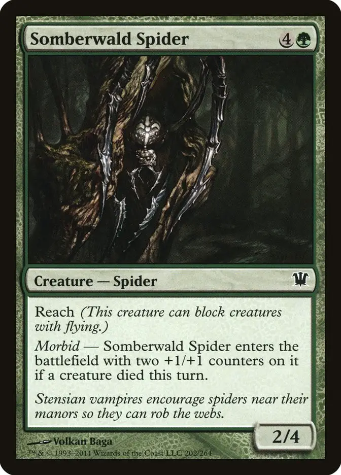 Somberwald Spider (Innistrad)