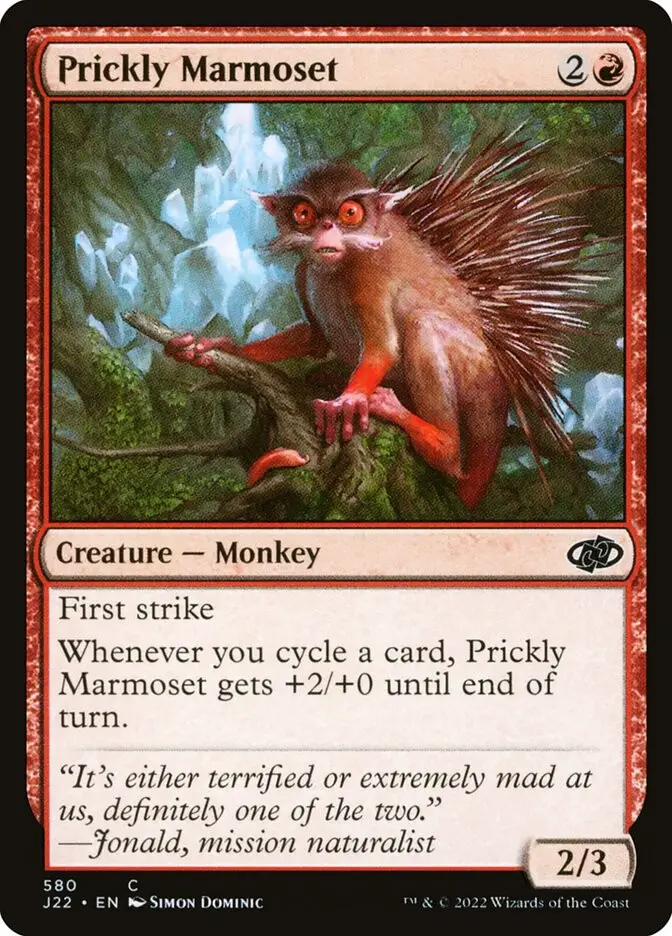 Prickly Marmoset (Jumpstart 2022)