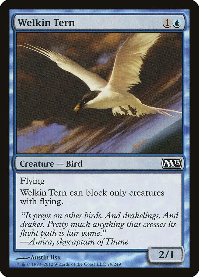Welkin Tern (Magic 2013)