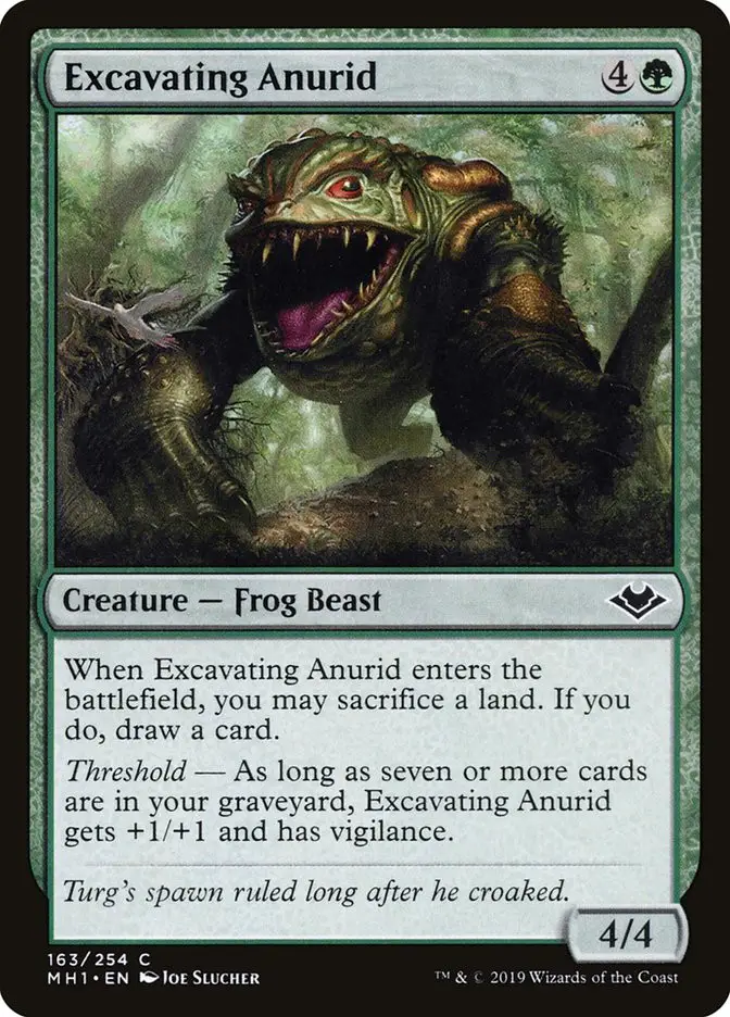 Excavating Anurid (Modern Horizons)