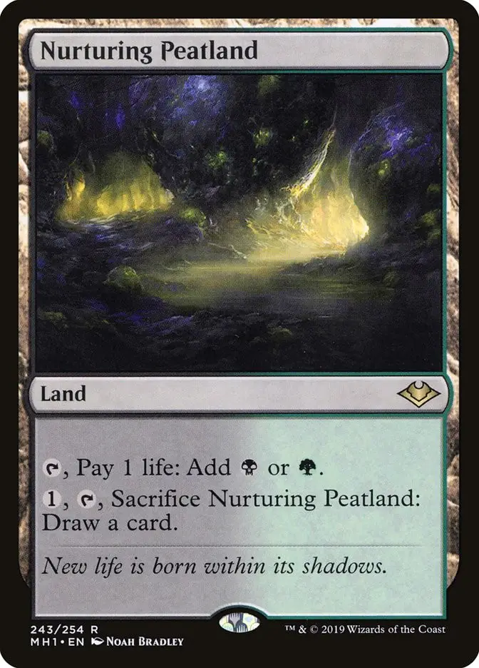Nurturing Peatland (Modern Horizons)
