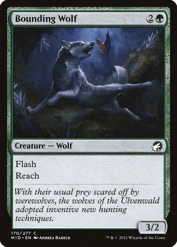 Bounding Wolf (Innistrad: Midnight Hunt)