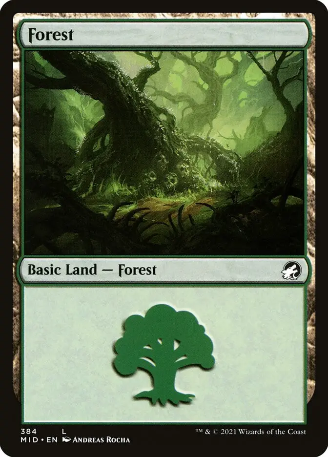 Forest (Innistrad: Midnight Hunt)