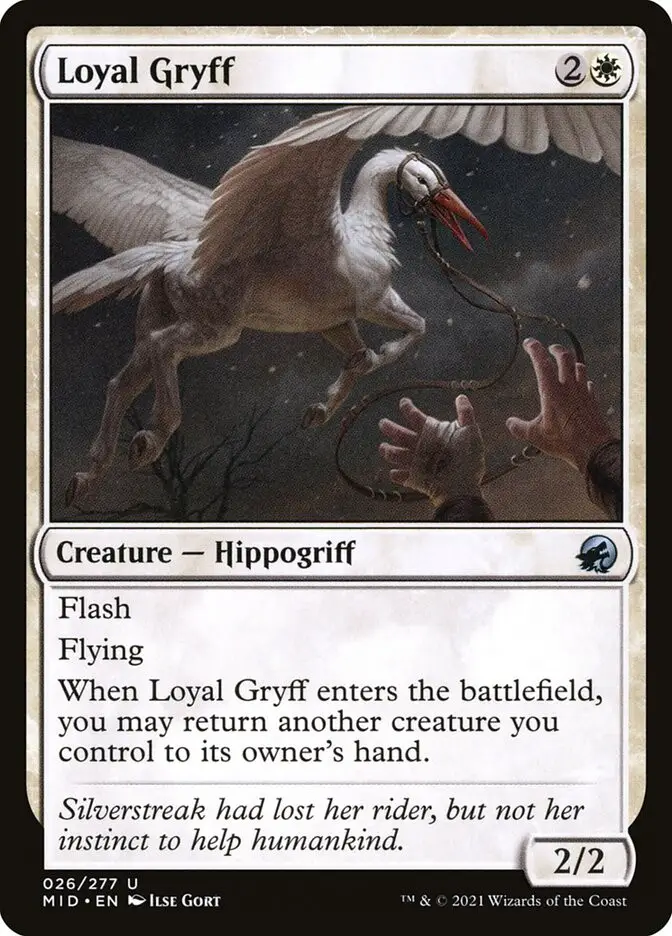 Loyal Gryff (Innistrad: Midnight Hunt)