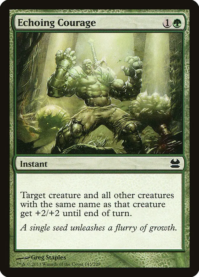 Echoing Courage (Modern Masters)