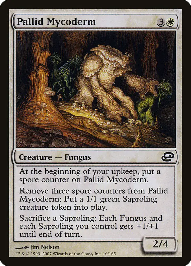 Pallid Mycoderm (Planar Chaos)