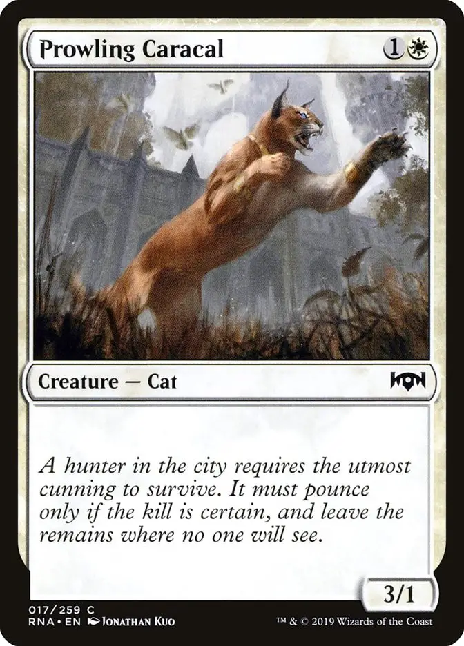 Prowling Caracal (Ravnica Allegiance)