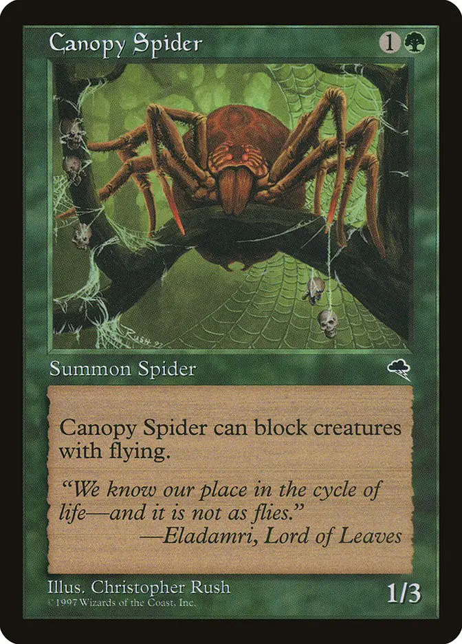 Canopy Spider (Tempest)