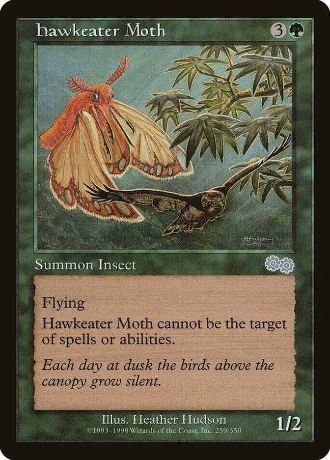 Hawkeater Moth (Urza