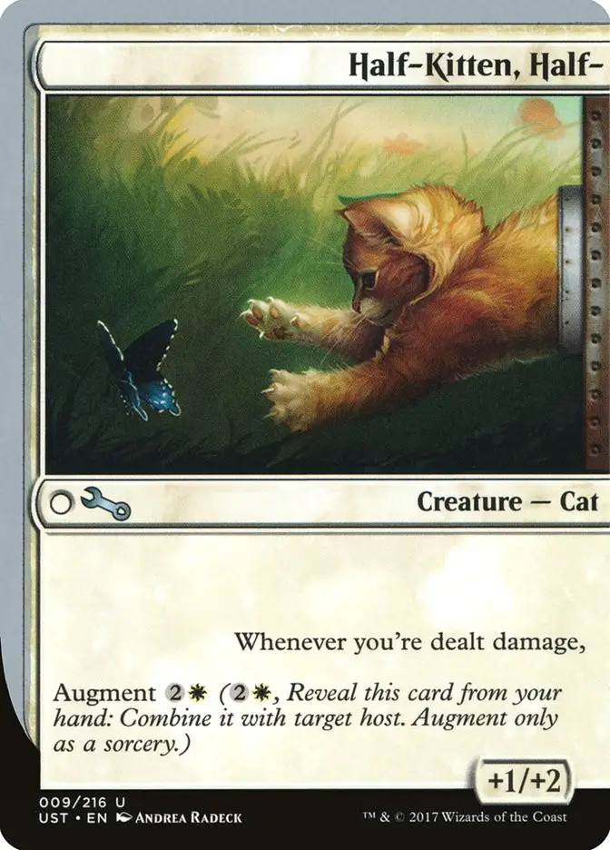 Half Kitten  Half  (Unstable)